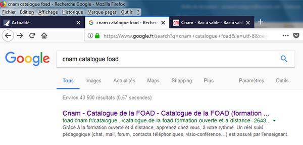 Affichage dans la page résultats de Google